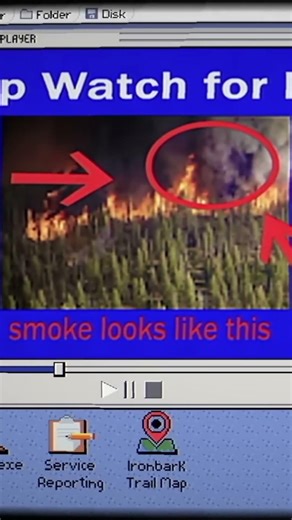 Gözetleme kulesinde yaşanan korkunç olayları anlatan oyun: Ironbark Lookout