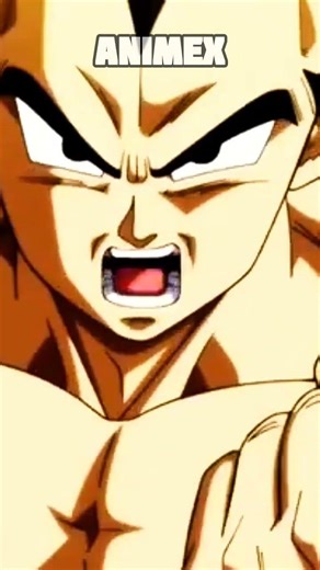 Vegeta's speech #vegeta #anime #dragonball #shortvideo