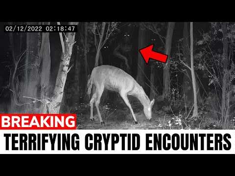 60 CREEPIEST Wildlife and Cryptid Encounters Even Skeptics Can't Deny!