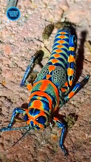 👉 This Insect Looks Edited… But It’s Real 😳