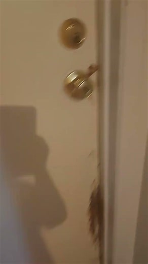 stealing root beer #bigback