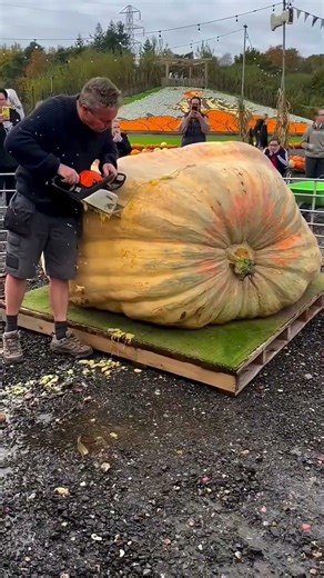 Cutting Open The World's Biggest Pumpkin with a Chainsaw! #trending #viralvideo
