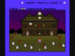 SMW Custom Music - Track 606 (Super Mario Land 3 - Parsley Woods)