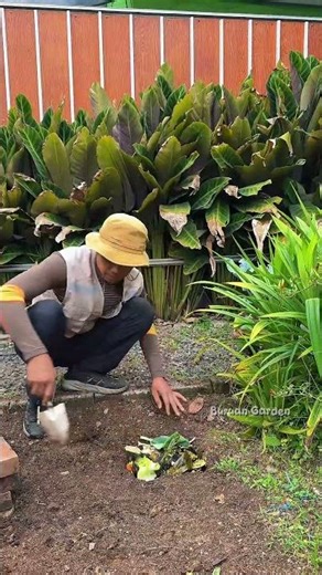 Composting organic kitchen waste in a simple way #gardening #gardeningideas #garden #farming