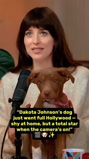 “Dakota Johnson’s dog just went full Hollywood 🎬🐶✨ #dakotajohnson