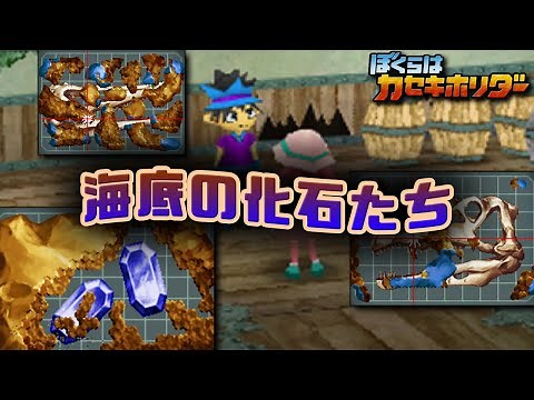 【カセキホリダー】ソコナシ海ていの化石をクリーニング！！18【初見】【ぼくらはカセキホリダー】【25歳フリーター】【DS】