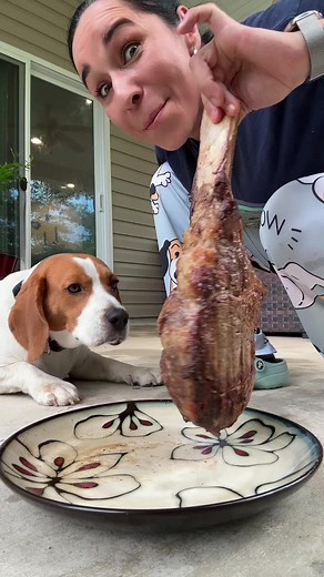 International Dog Safari with Alvaro Muelas and Family