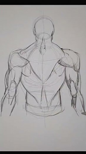 (HOW TO DRAW) Drawing the back muscles 💪
