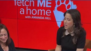 Fetch me a home | Journey