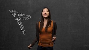 574K views · 289 shares | What should you be doing right now to prepare for your IELTS test? We have lots of great tips on our YouTube channel. | IELTS by IDP | Facebook