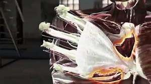 272K views · 3.4K shares | 【Martial Arts Science】 The Tiger Claw - One of many moves from "Fu Jow Pai" Kung Fu which has unique techniques such as ripping, tearing, clawing and grasping etc. Let's hope nobody needs to use this in real life. Source: National Geographic | Martial Tribes - Martial Arts | Facebook