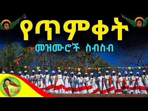 የጥምቀት መዝሙሮች ስብስብ - Timket Mezmur Collection | Ethiopian Orthodox Timket Mezmur