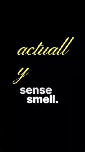 Why Food Tastes Boring When Your Nose Is Blocked