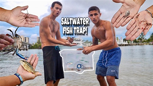 Fish Trap Catches AQUARIUM FISH and INVERTEBRATES!!
