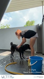 207 reactions | Being carefree with ULTRA® ONE DAY contact lenses as what Carmen go with her routine! ✨ #BauschandLombMY #AdvancedMoistureSeal #ComfortFeel #UltraOneDay #UOD | Bausch + Lomb Malaysia | Facebook