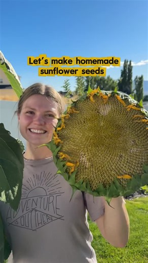 AllAroundAudrey on Instagram: "So cool that I can now grow one of my favorite snacks! 🌻 #sunflowerseeds #gardening #baking"