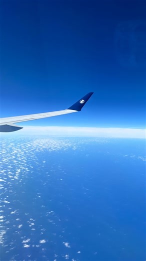 Moments like these are everything 🤍 #airfrance #travel | Air France