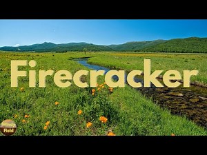 Josh Turner - Firecracker (Lyrics)