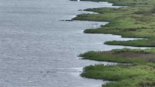 Lake Okeechobee pollution study disputed by officials