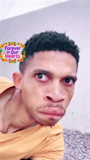 Davidvilla adw #the hero##funy guy###