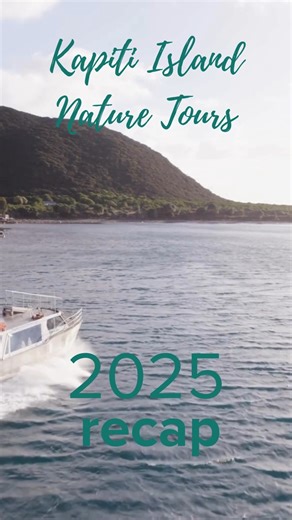 What a year it has been for Kapiti Island. 🦜🌱 From getting our own build in Minecraft, to welcoming manuhiri from near and far, to receiving awards that recognise and celebrate our team’s work, to rare manu encounters, and every special moment in between. These milestones belong to our people, our community, and every visitor who shares in the care and protection of this special place. ✨ Ngā mihi nui for being part of the journey. Here’s to what’s ahead! #KapitiIsland #YearInReview #Kaitiakita
