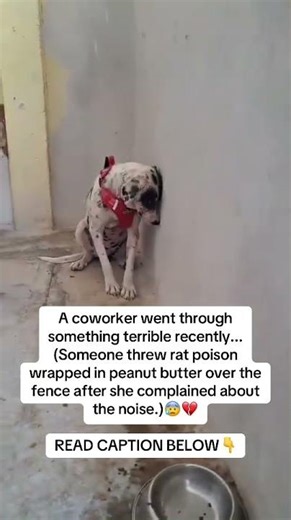 READ CAPTION 👇🏻