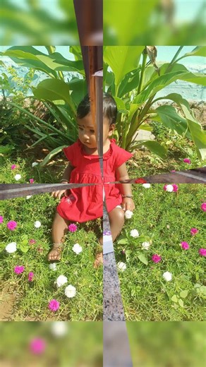 sixth month photo shoot #my little princess 🥰❤️