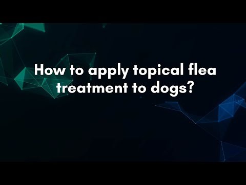 How to apply topical flea treatment to dogs?