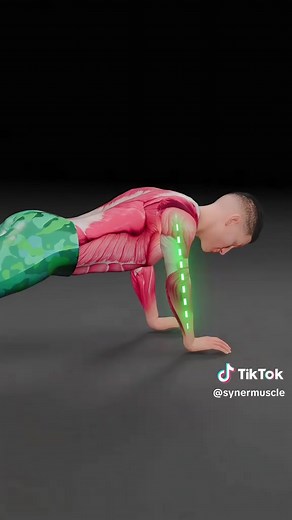 Scapular push-ups train the muscles that control shoulder blade stability. Keep your arms straight and move only through the scapula. Push them apart to activate the serratus anterior, then squeeze together to load the rhomboids through full range. #ShoulderHealth #posture #Strength #mobility #synermuscle