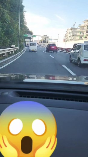 #ドライバー #危ない #怖い #horror #foryou #terror #paranomal #scary #ドライブ #drive #angry #fyp