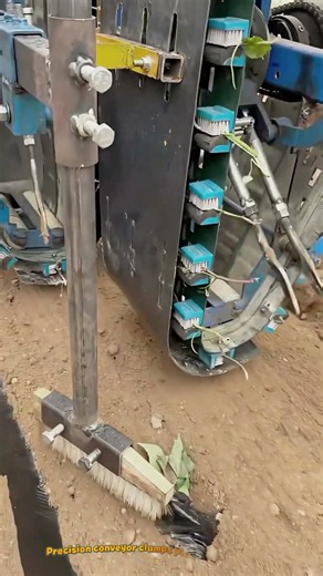 Automated Bare-Root Sweet Potato Slip Transplanter for High-Efficiency Field Planting