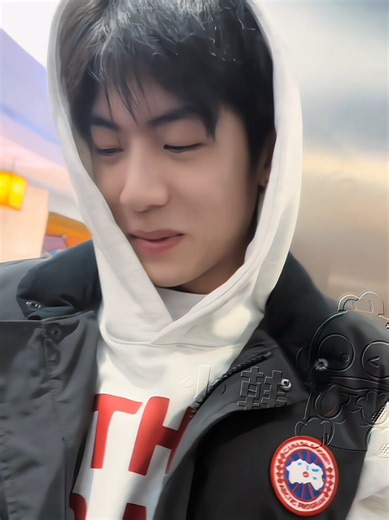 探索庞博文的创作之旅