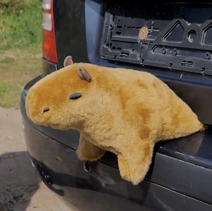 Innovative car hacks for the modern driver! | 5-Minute MAGIC