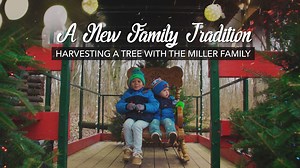 30K views · 194 reactions | Join the Miller Family as they embark on a new family tradition to pick out the perfect Christmas tree!  Start your own Christmas tradition in Pure Michigan complete with finding the perfect tree, sleigh rides and a visit with Santa at these tree farms located throughout the state: https://puremi.ch/2AF7WjW | Pure Michigan | Facebook