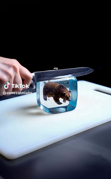 Cut Grizzly bear in blue ice cube ASMR Relax Videos #asmr #asmrsounds #asmrvideo #asmrtiktoks #asmrfood #asmrtriggers #asmrcalmlabs