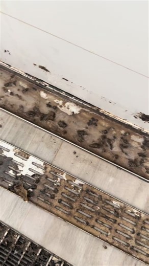 Satisfying Bathroom Cleaning Transformation | Cleaning with Olivia