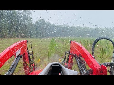 Bush Hogging Job 10 Acres