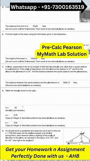 Precalculus HW Set 8 Solution | Pearson MyMathLab Step-by-Step Help