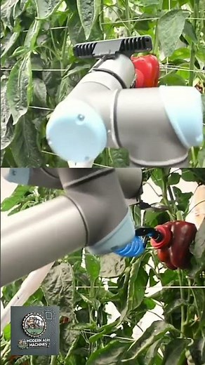 Fruit harvesting robots - Modern technology in agriculture