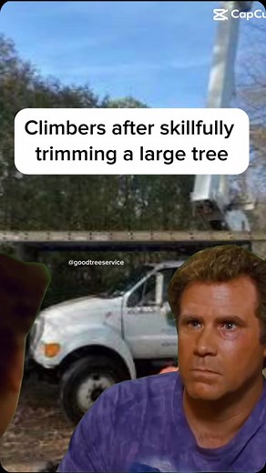 Tree life 💪🪓🌳 | Good Tree