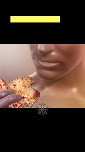 Understanding the Digestive System: Exploring Gut Secrets