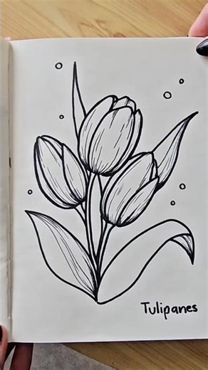 Dibujo fácil de Tulipanes 🌷✨ (paso a paso)