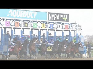 Aqueduct Simulcasting - April 15, 2023