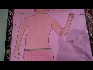 Sanskrit tlm for primary classes