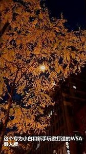 PC玩安卓神器，WSA安卓子系统，自带谷歌商店+Root权限懒人版#WSA安装#WSA教程#安卓子系统#Win11安卓子系统#Win10安卓子系统#PC玩安卓#电脑安卓模拟器#谷歌商店