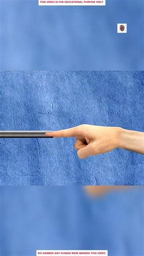 What Really Happens If You Put Your Fing*r in a Gun Barrel 😱