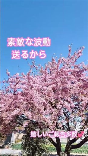 【子宝💖安産】子宮、卵巣が温まり活性化🥰風とお花で氣の流れ整う🌸#子宝#安産#子宮#女性性#波動