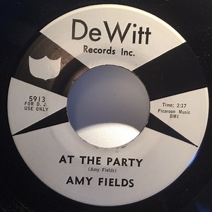 Amy Fields - At The Party