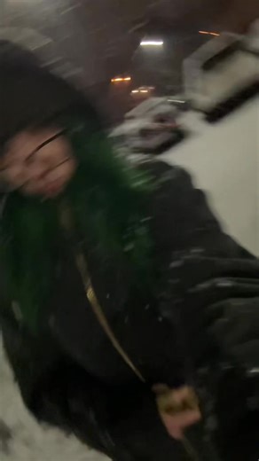 Evs worker by day???? (2nd shift…) dog walker by night 😎