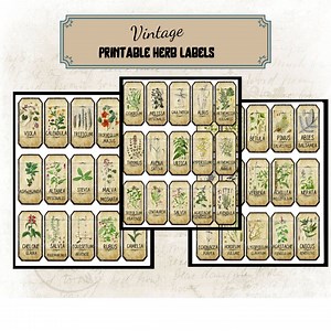 Herbal Labels Botanical LABELS/ to Print VINTAGE Style / Pot Sheet Identification of Plants/herbs/roots - Etsy UK
